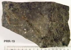 Photo of sample
