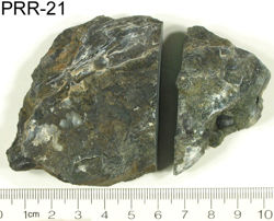 Image for PRR-21