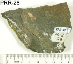 Photo of sample