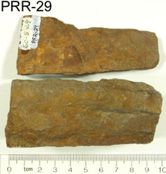 Photo of sample