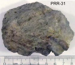 Photo of sample