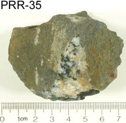 Photo of sample