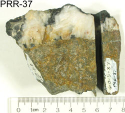 Photo of sample