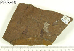 Photo of sample