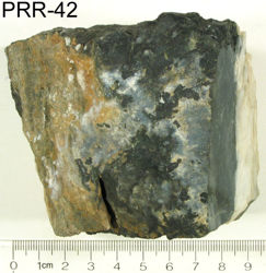 Photo of sample