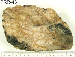 Photo of sample