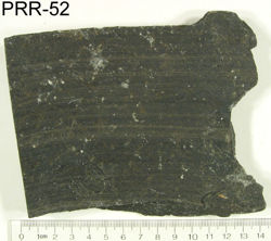 Photo of sample