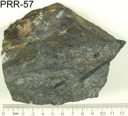 Photo of sample