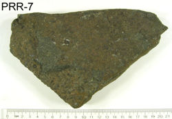 Photo of sample