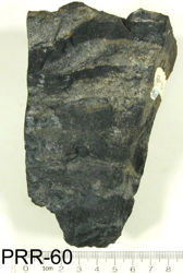 Photo of sample
