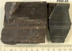 Photo of sample