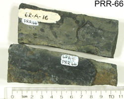 Photo of sample