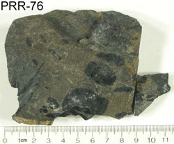 Photo of sample