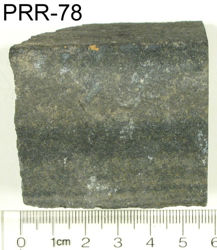 Photo of sample