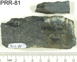 Photo of sample