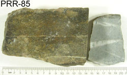 Photo of sample