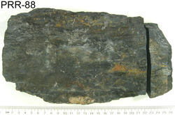 Photo of sample