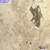 Other sample imagery