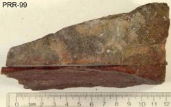 Photo of sample