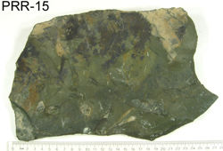 Photo of sample
