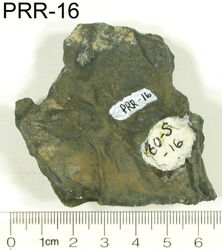 Image for PRR-16