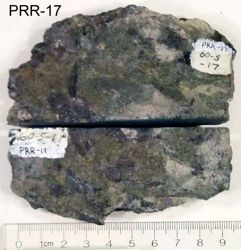 Photo of sample