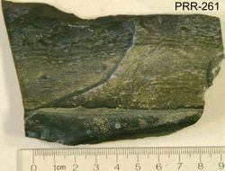Photo of sample