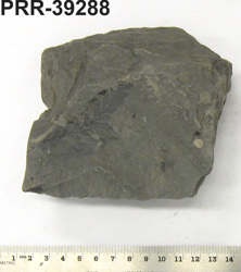 Photo of sample