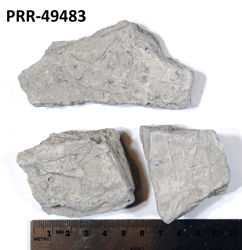 Photo of sample