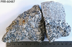 Photo of sample