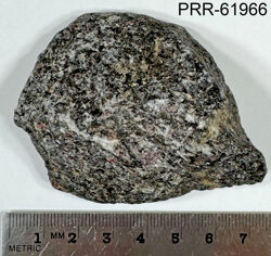 Photo of sample
