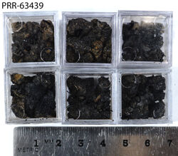 Photo of sample