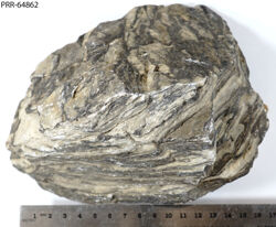 Photo of sample