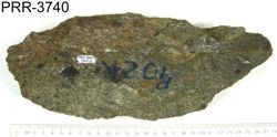 Photo of sample