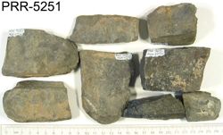 Photo of sample