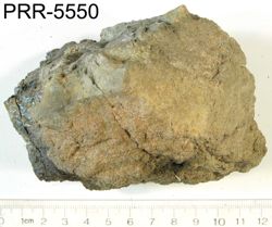 Photo of sample