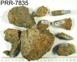 Photo of sample