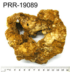 Photo of sample