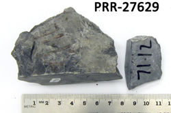 Photo of sample