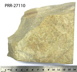 Photo of sample