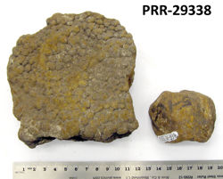 Photo of sample