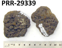 Photo of sample