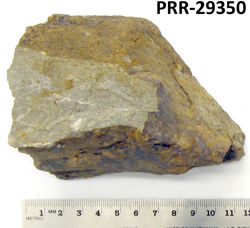 Photo of sample