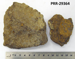 Photo of sample