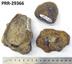 Photo of sample