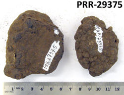 Photo of sample