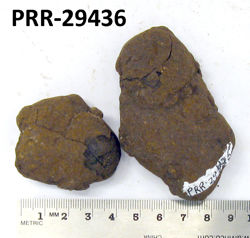 Photo of sample