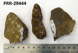 Photo of sample