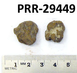 Photo of sample