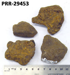 Photo of sample